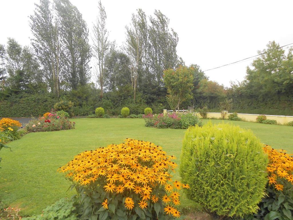 Gallows View Bed & Breakfast Bunratty Room photo